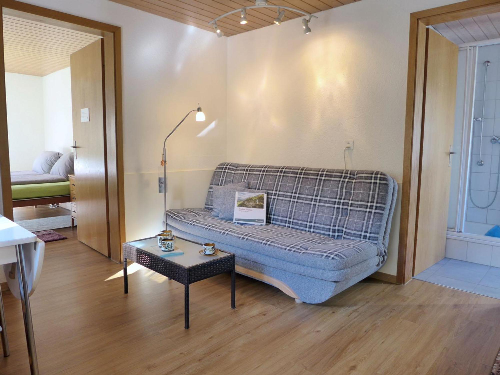 Erika By Interhome Apartment Meiringen